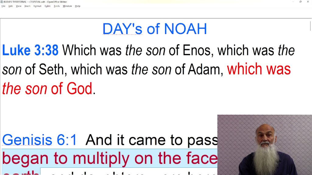 Days of NOAH