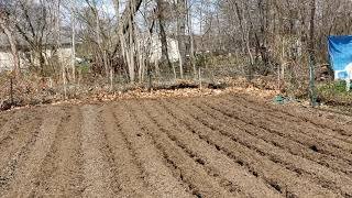 Garden Tilled