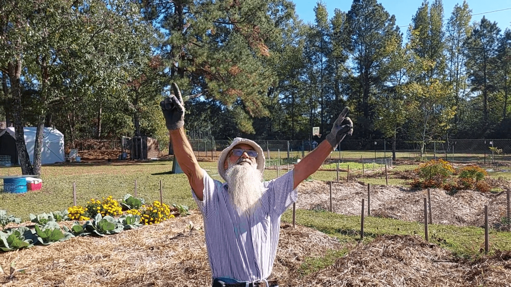 Sweet Harvest